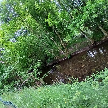 Gite De L'Ours Saint-Maurice-sur-Moselle Exteriér fotografie
