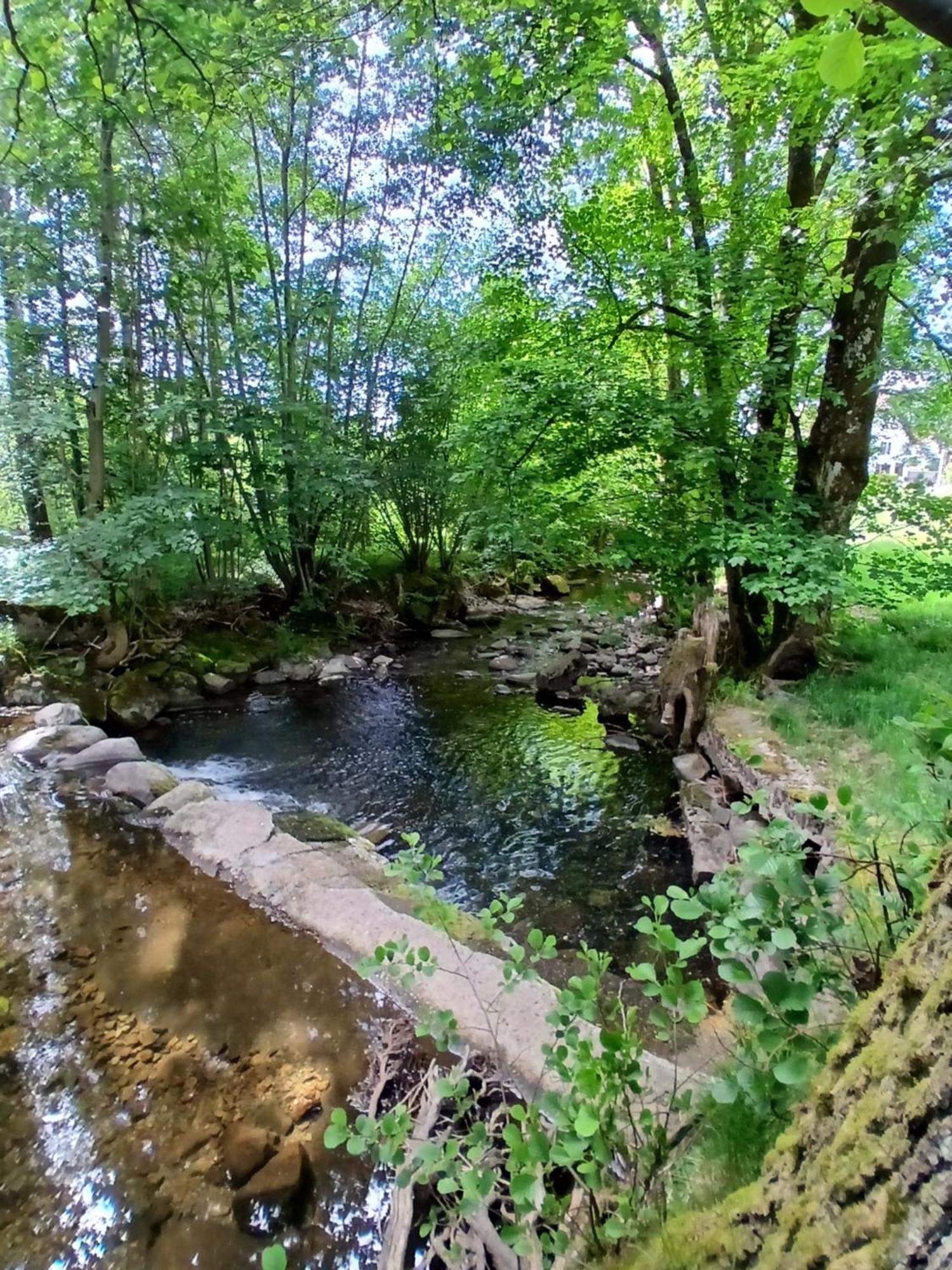 Gite De L'Ours Saint-Maurice-sur-Moselle Exteriér fotografie