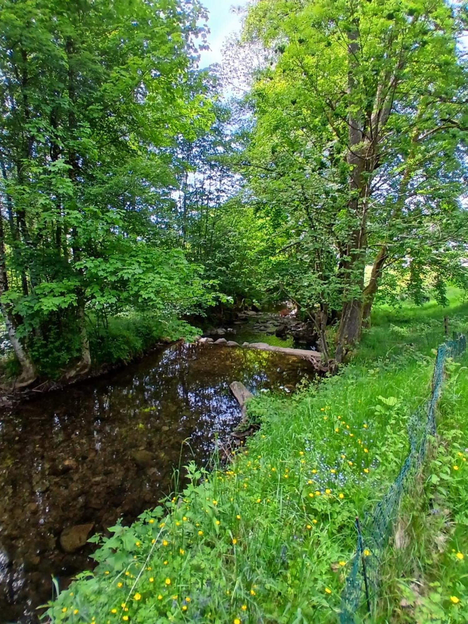 Gite De L'Ours Saint-Maurice-sur-Moselle Exteriér fotografie